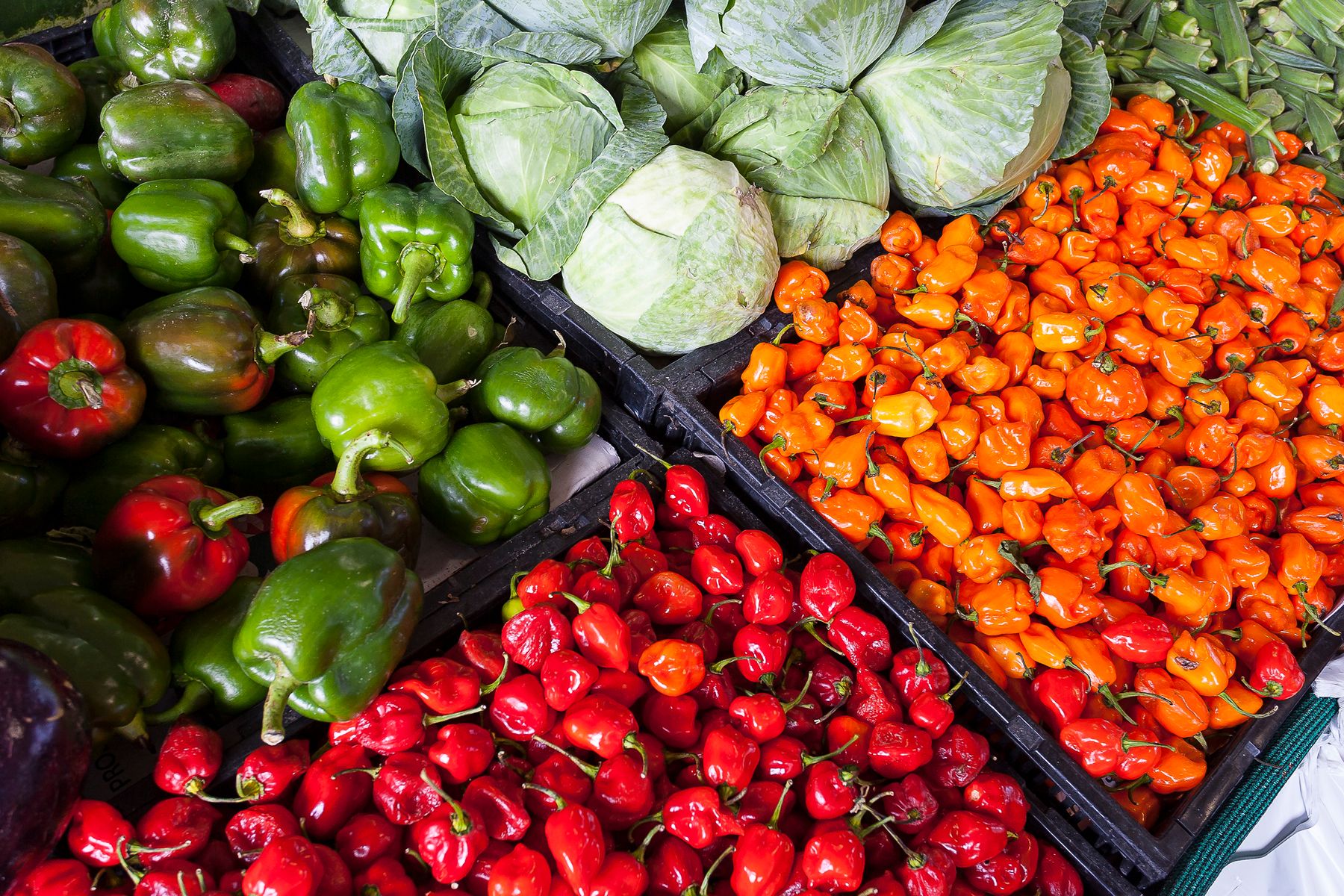 Fresh vegetables